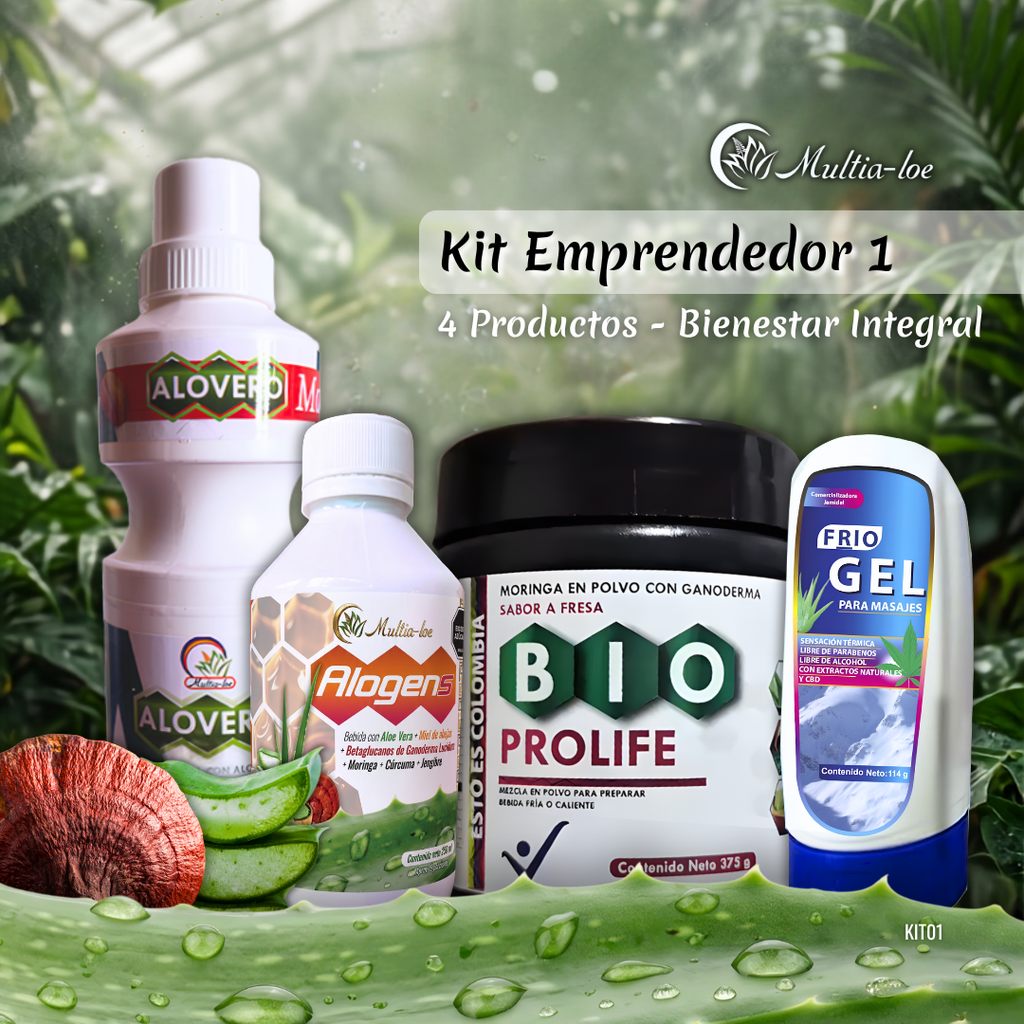 Kit Emprendedor 1